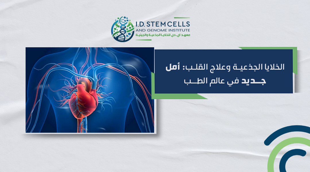 الخلايا الجذعية وعلاج القلب: أمل جديد في عالم الطب