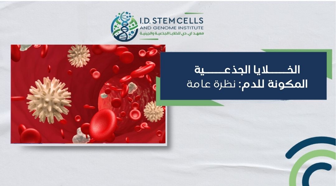 الخلايا الجذعية المكونة للدم: نظرة عامة