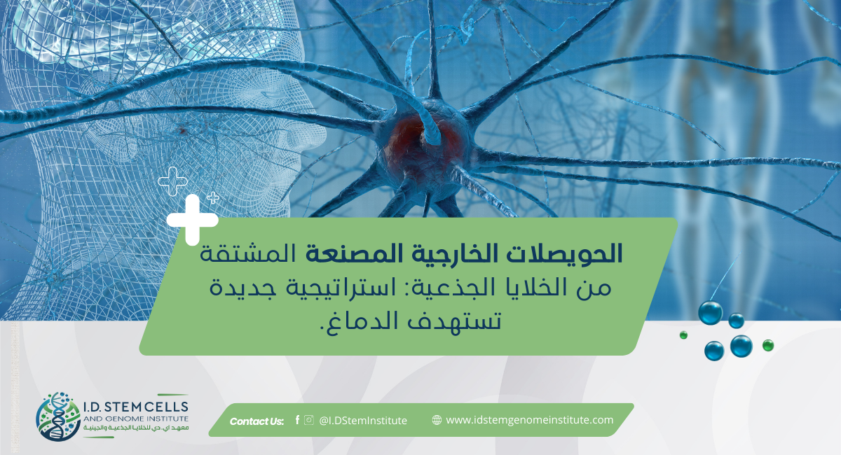 الحويصلات الخارجية المصنعة المشتقة من الخلايا الجذعية: استراتيجية جديدة تستهدف الدماغ
