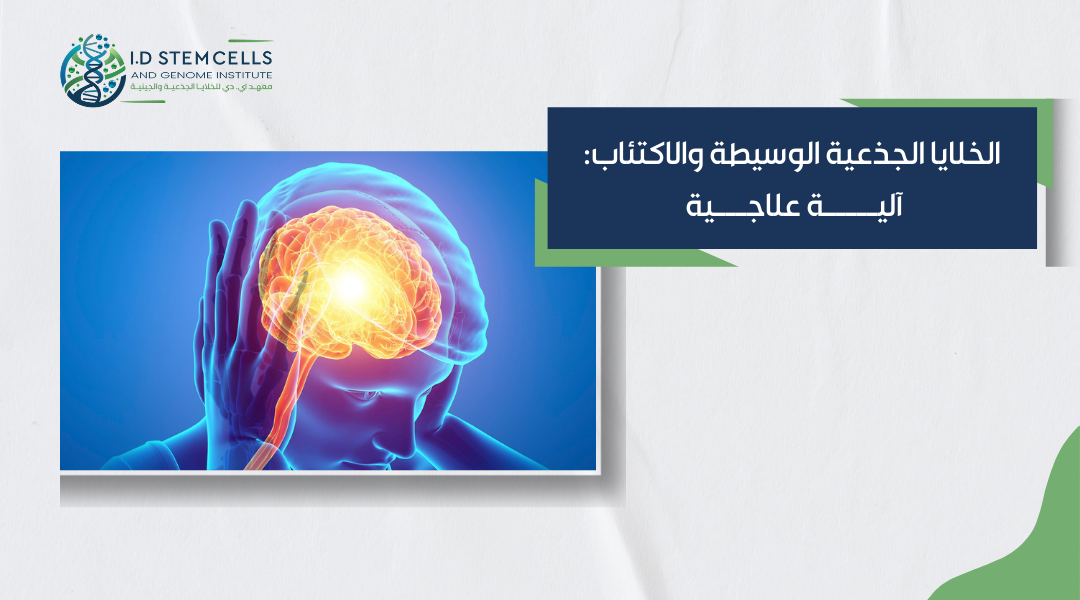 الخلايا الجذعية الوسيطة والاكتئاب: آلية علاجية