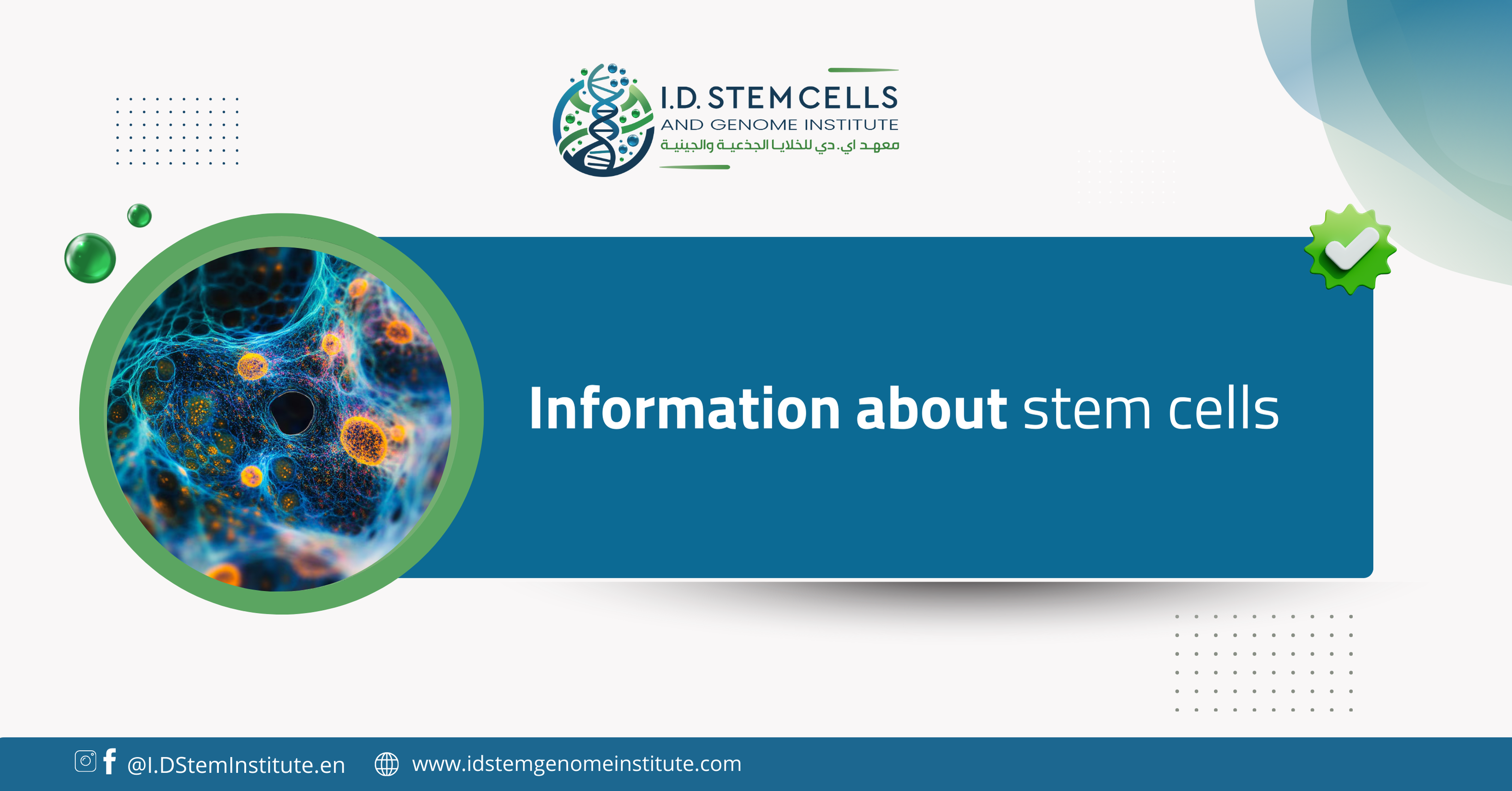 Information about stem cells
