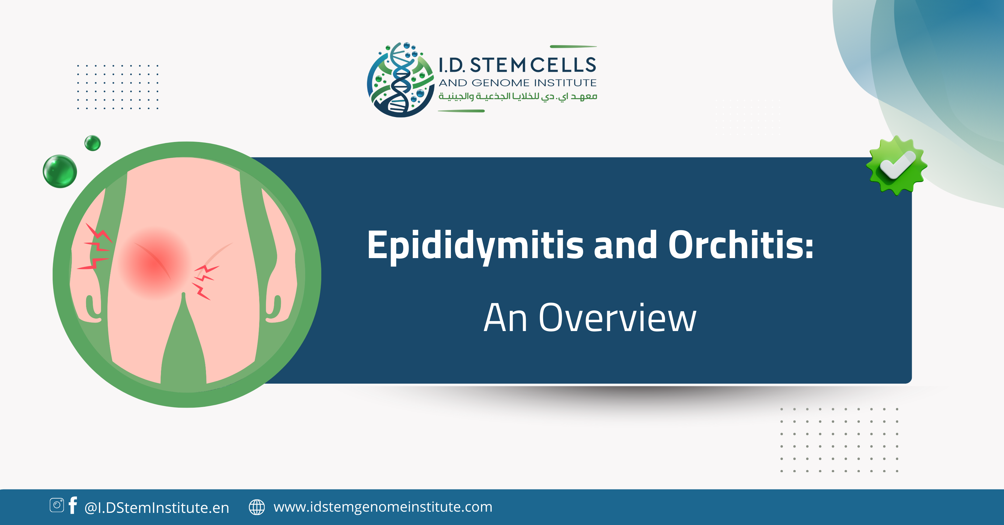 Epididymitis and Orchitis: An Overview 