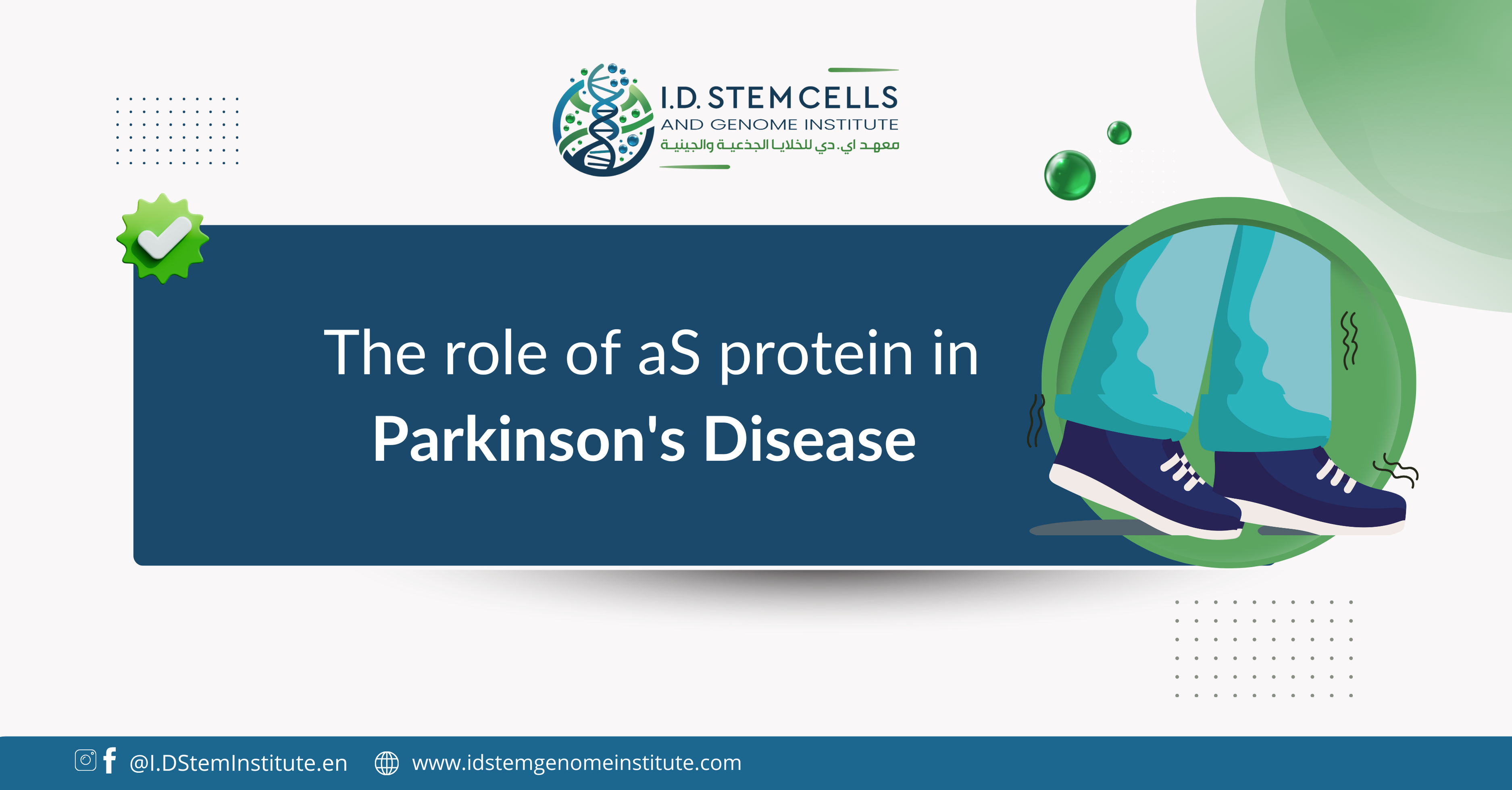The role of aS protein in Parkinson's disease