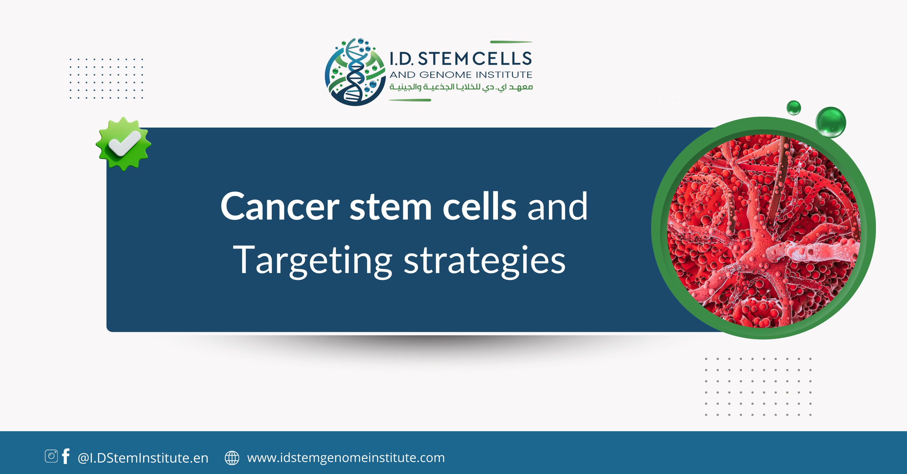 Cancer stem cells and targeting strategies 