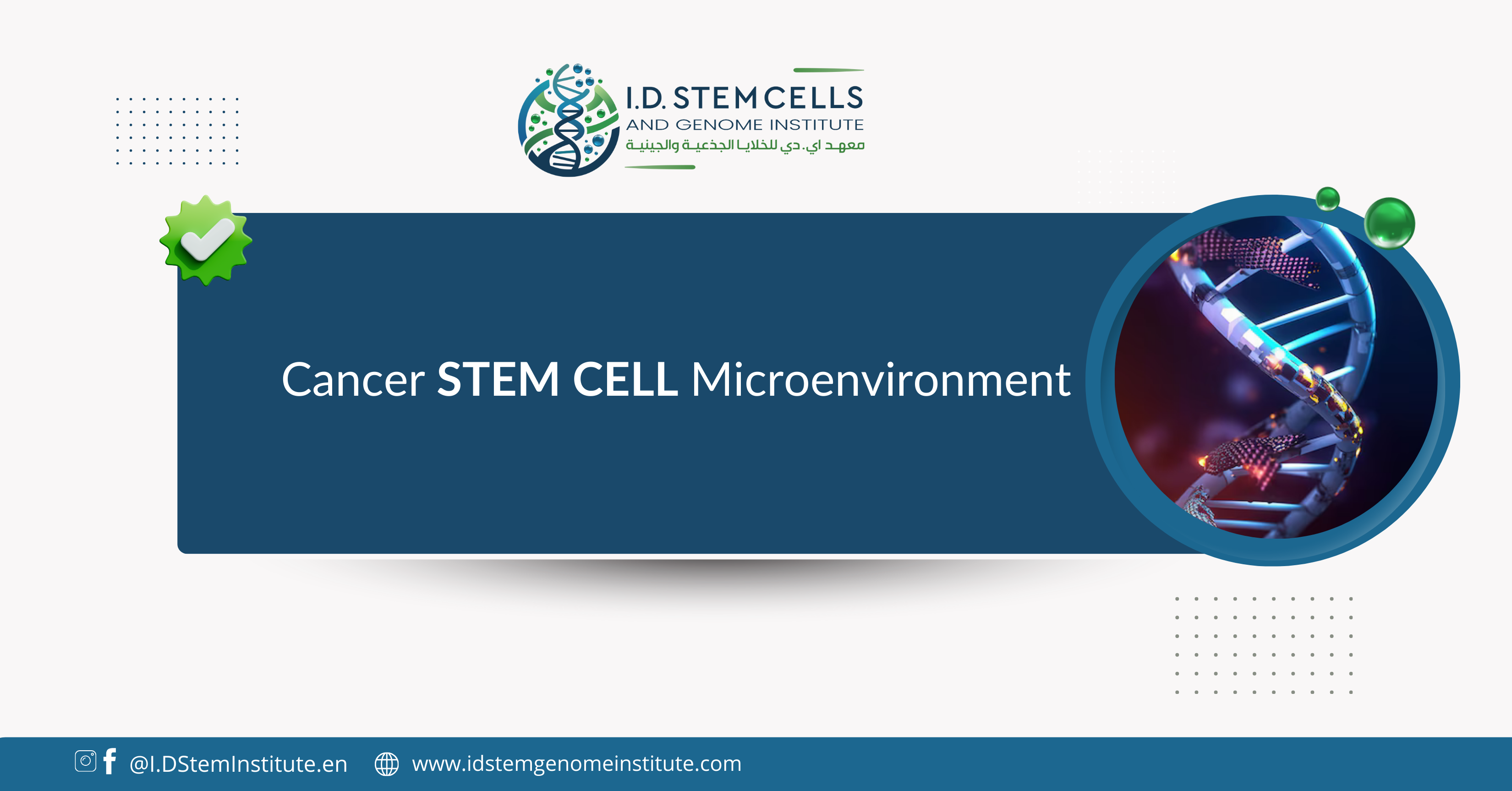 Cancer stem cell microenvironment