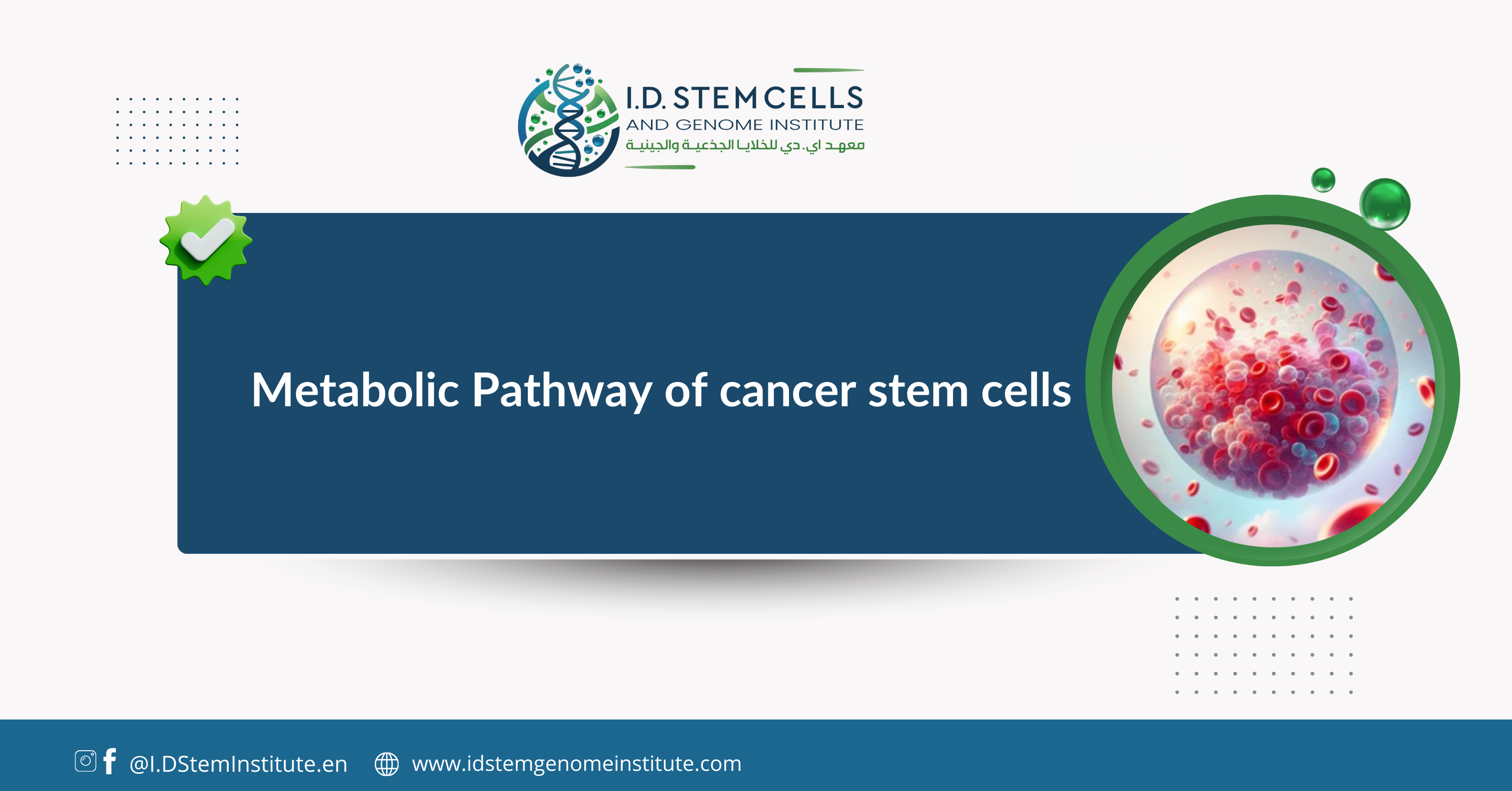 Metabolic pathway of cancer stem cells