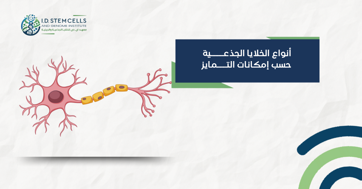 أنواع الخلايا الجذعية حسب إمكانات التمايز