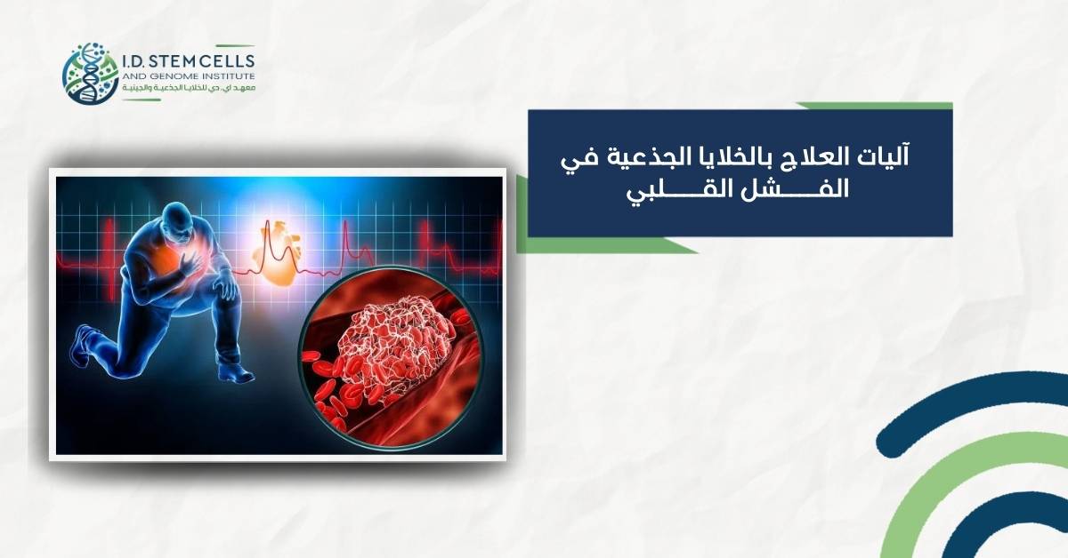 آليات العلاج بالخلايا الجذعية في الفشل القلبي