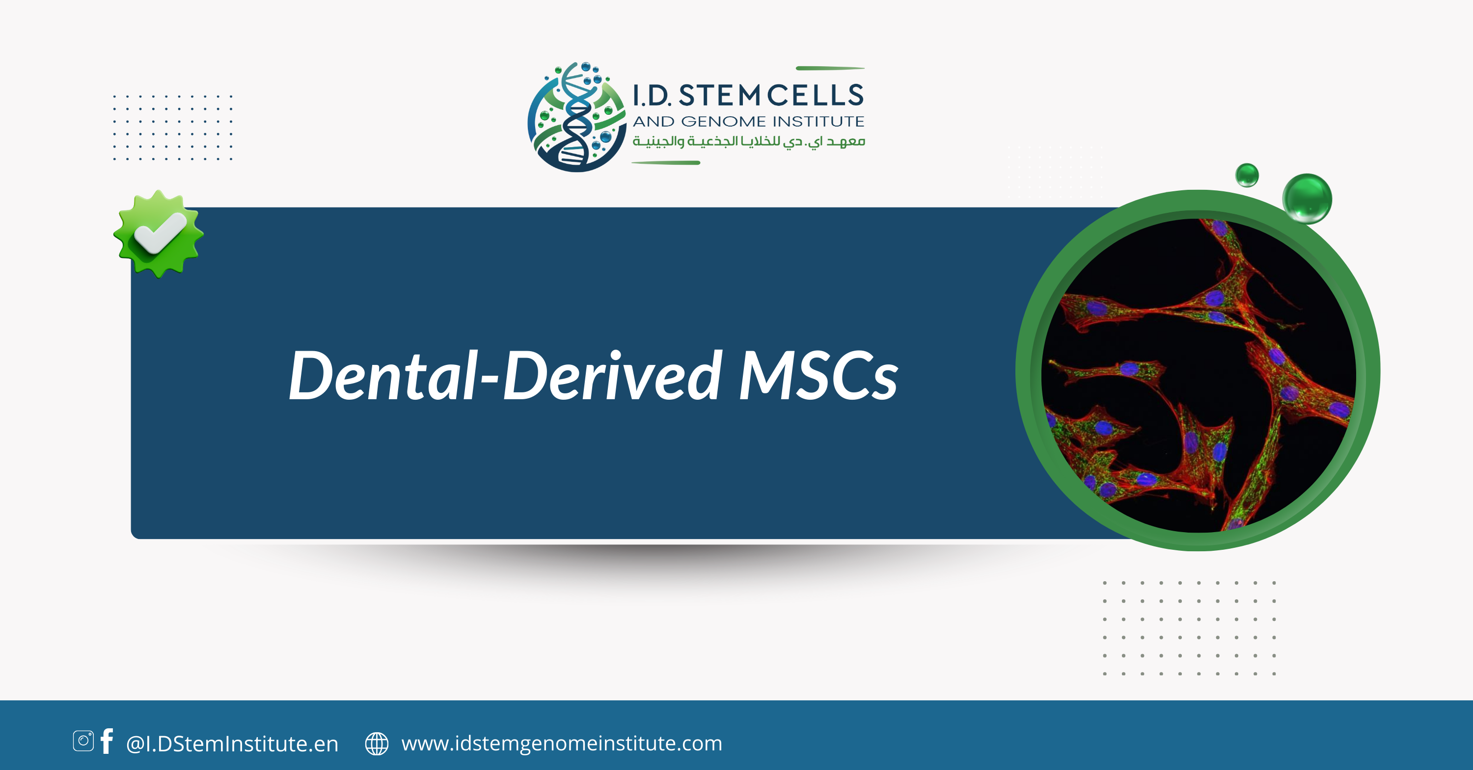 Dental-derived MSCs