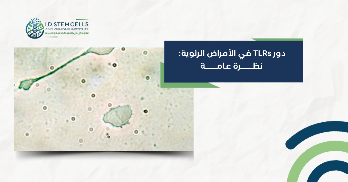 دور TLRs في الأمراض الرئوية: نظرة عامة