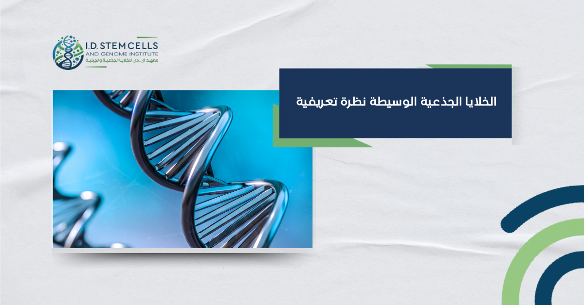 الخلايا الجذعية الوسيطة نظرة تعريفية