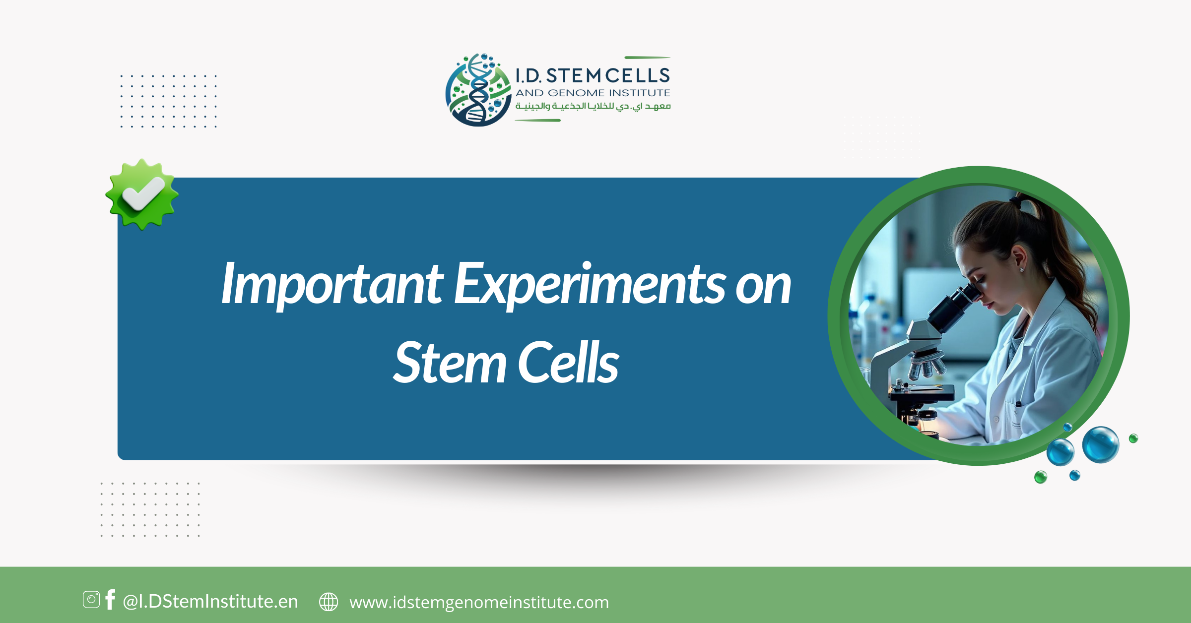Important Experiments on Stem Cells