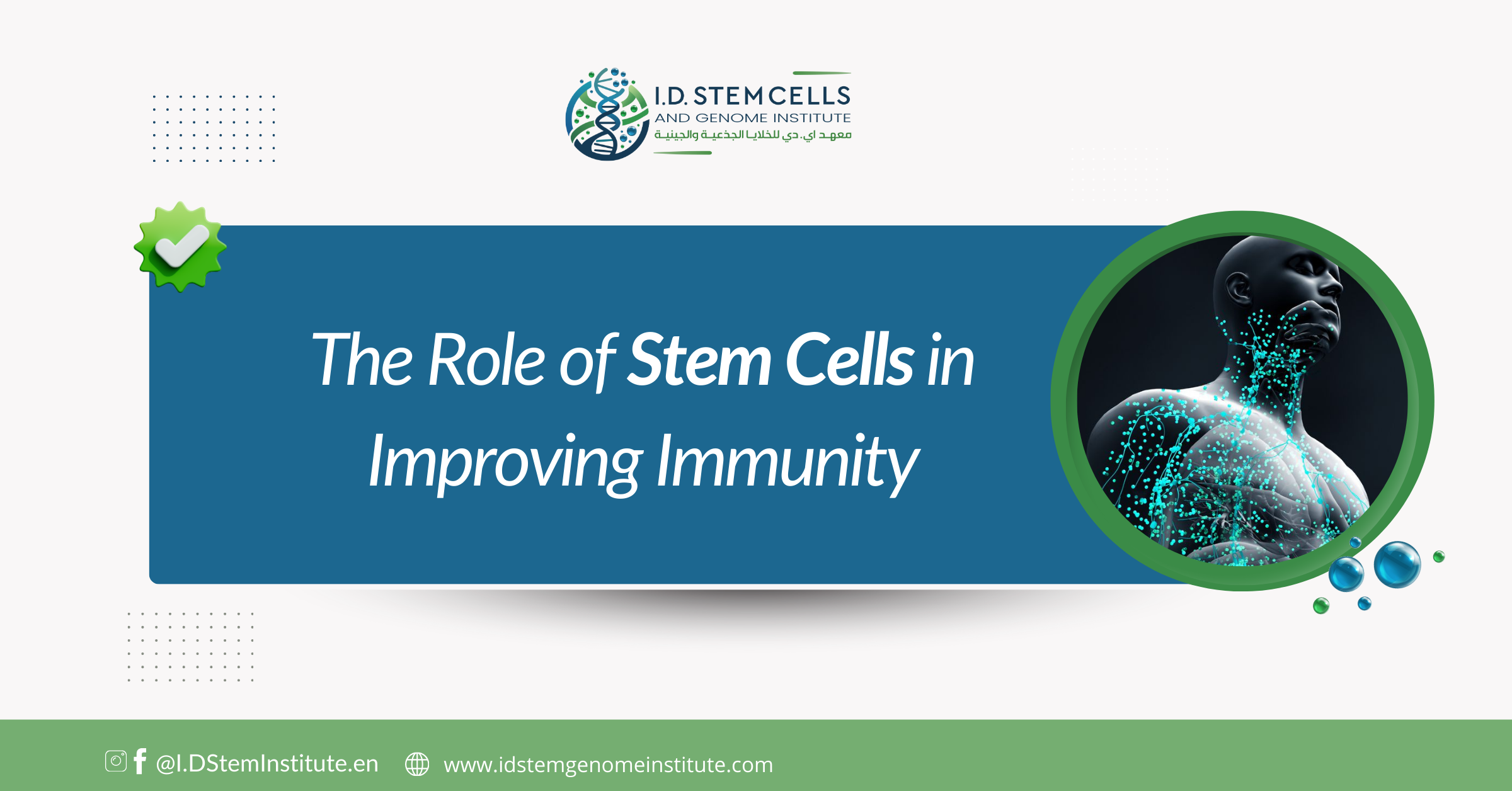 The Role of Stem Cells in Improving Immunity