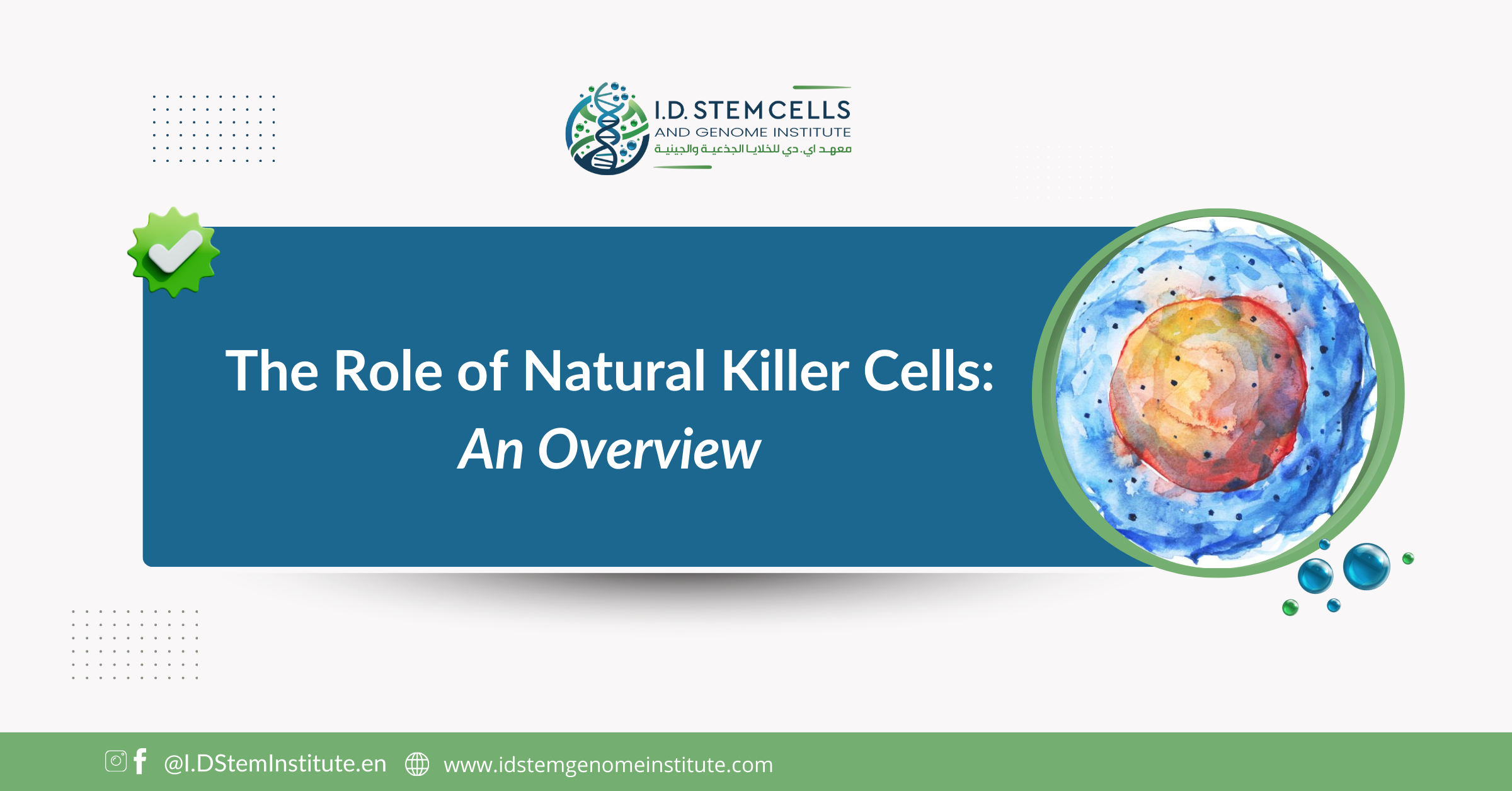 The Role of Natural Killer Cells: An Overview