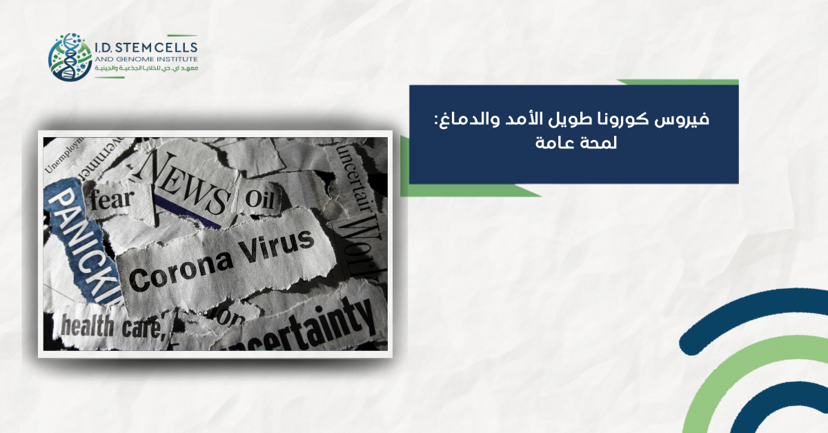 فيروس كورونا طويل الأمد والدماغ: لمحة عامة