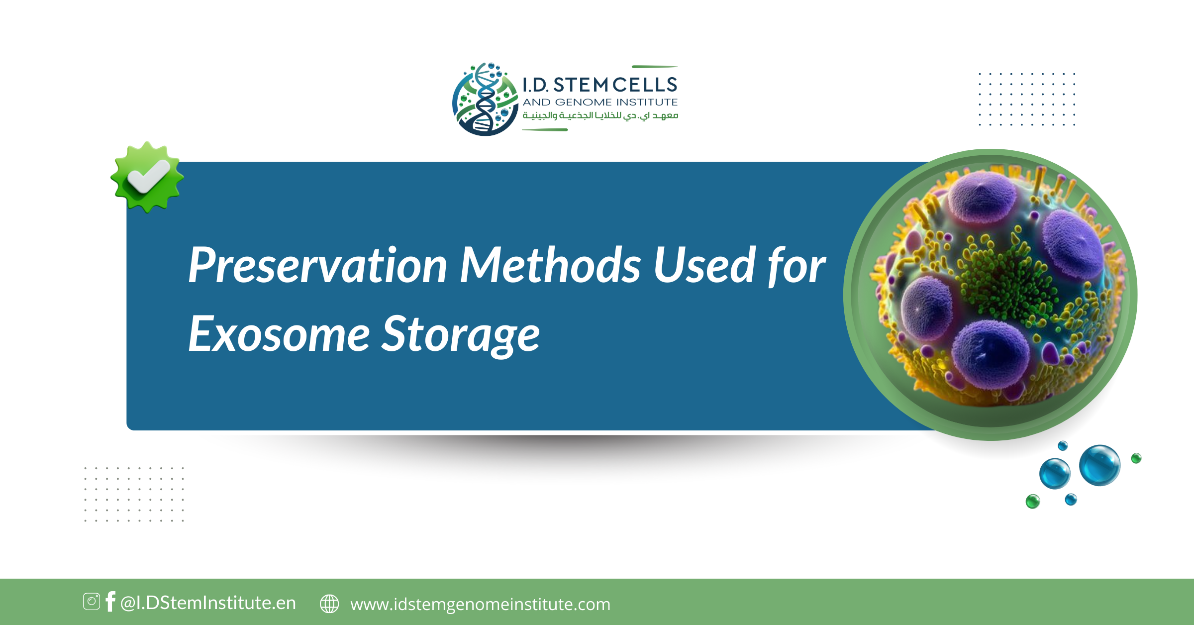 Preservation Methods Used for Exosome Storage