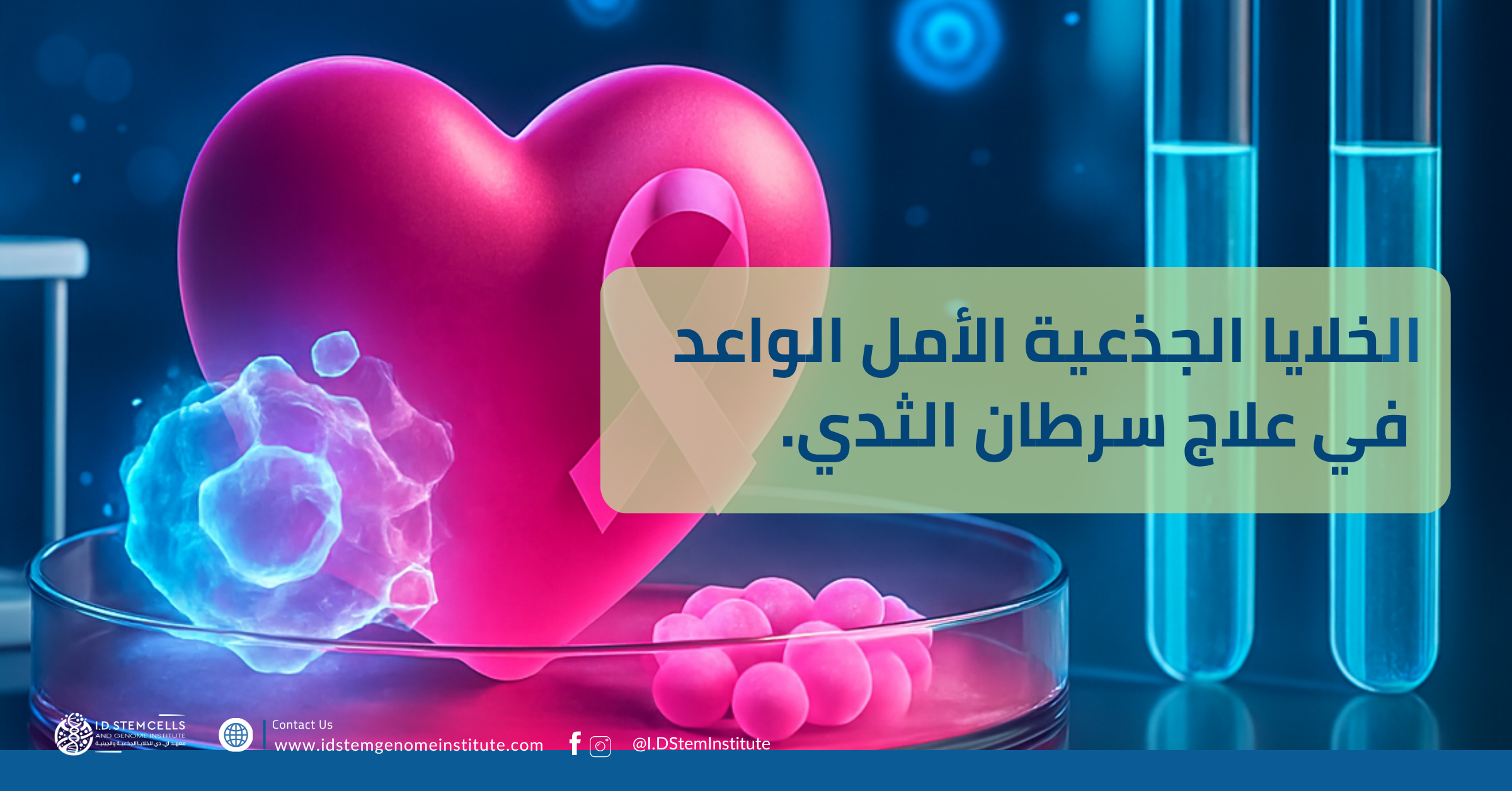 الخلايا الجذعية الأمل الواعد في علاج سرطان الثدي