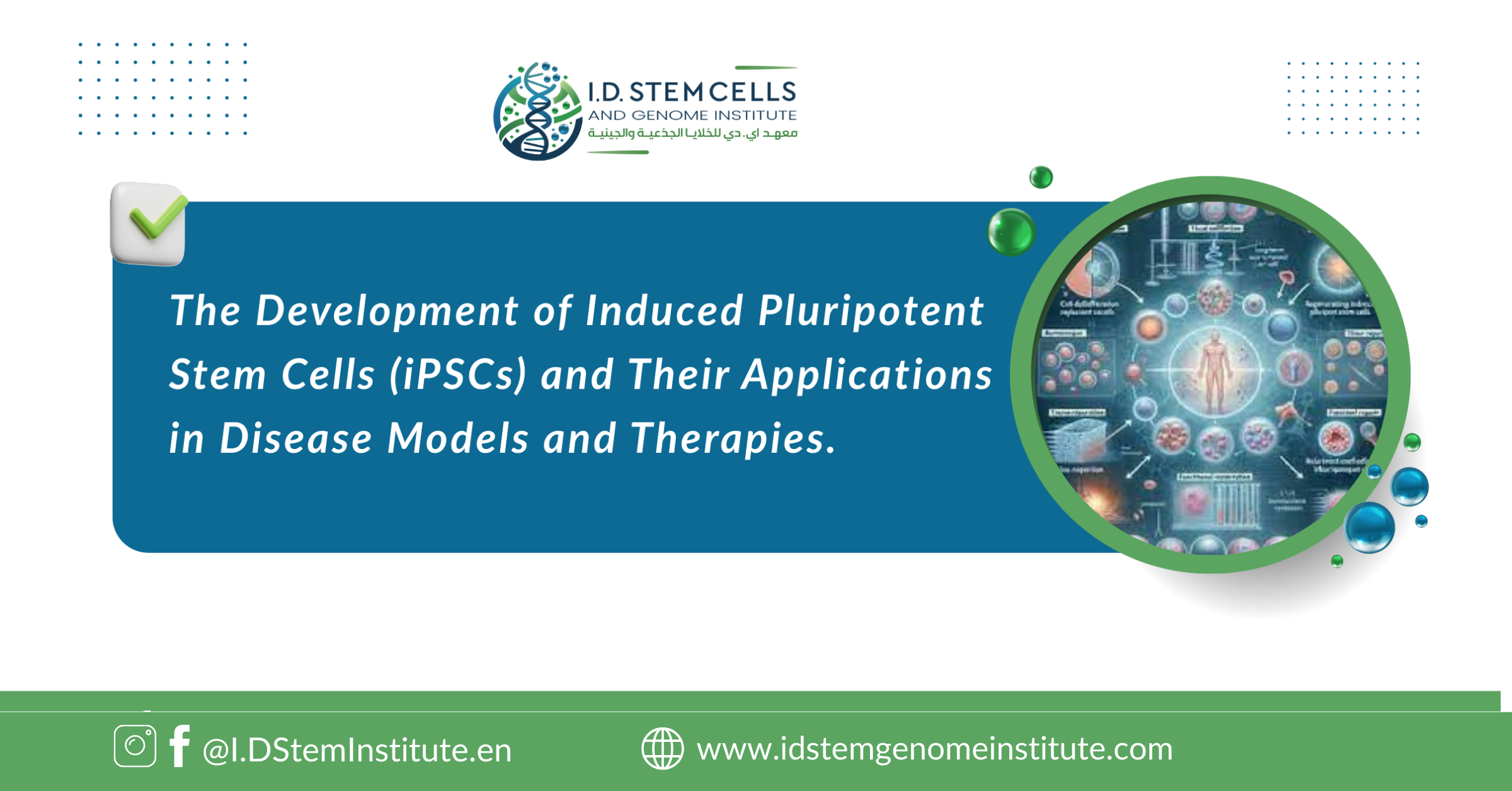 The Development of Induced Pluripotent Stem Cells (iPSCs) and Their Applications in Disease Models and Therapies 