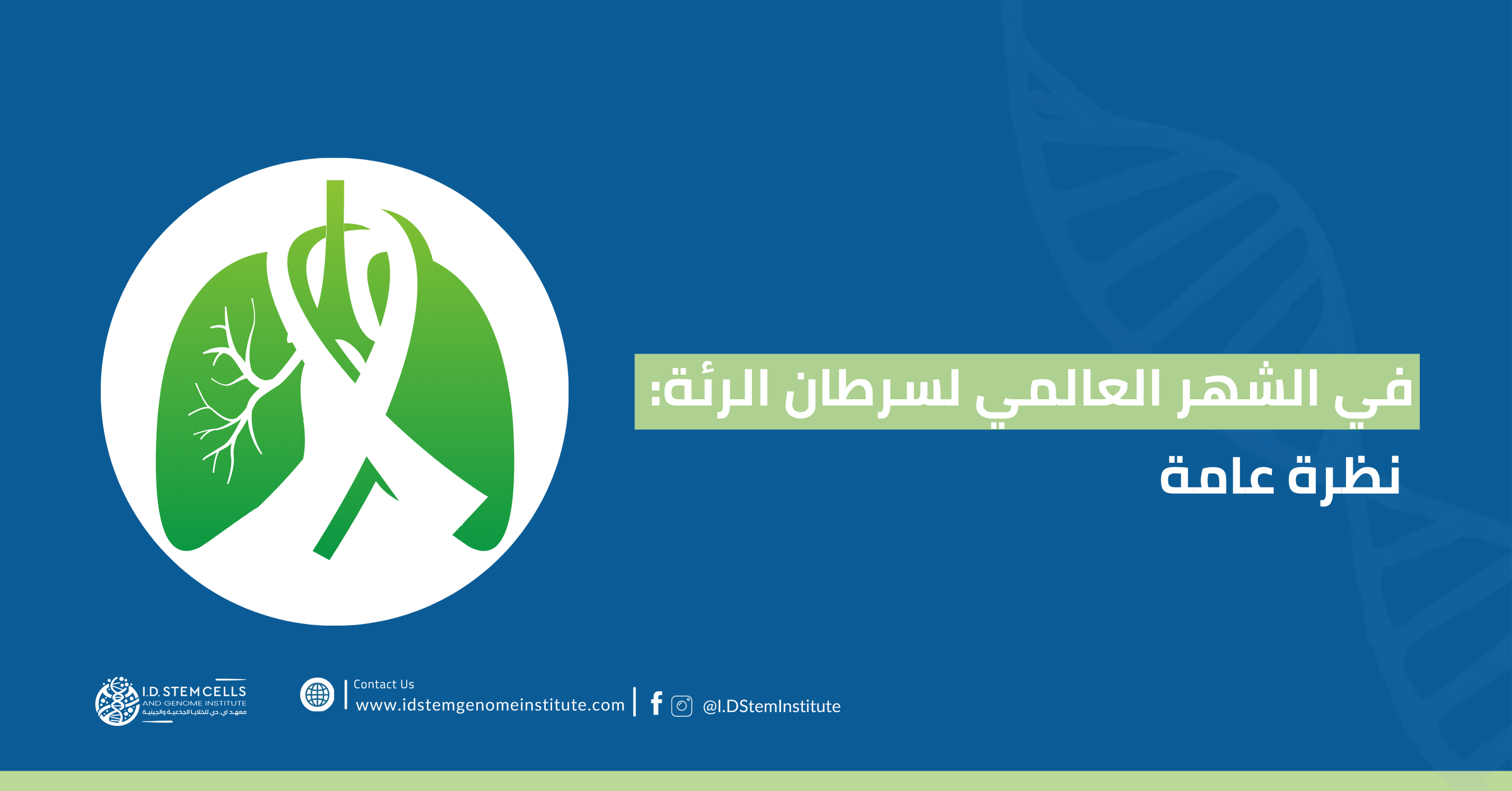 في الشهر العالمي لسرطان الرئة: نظرة عامة  