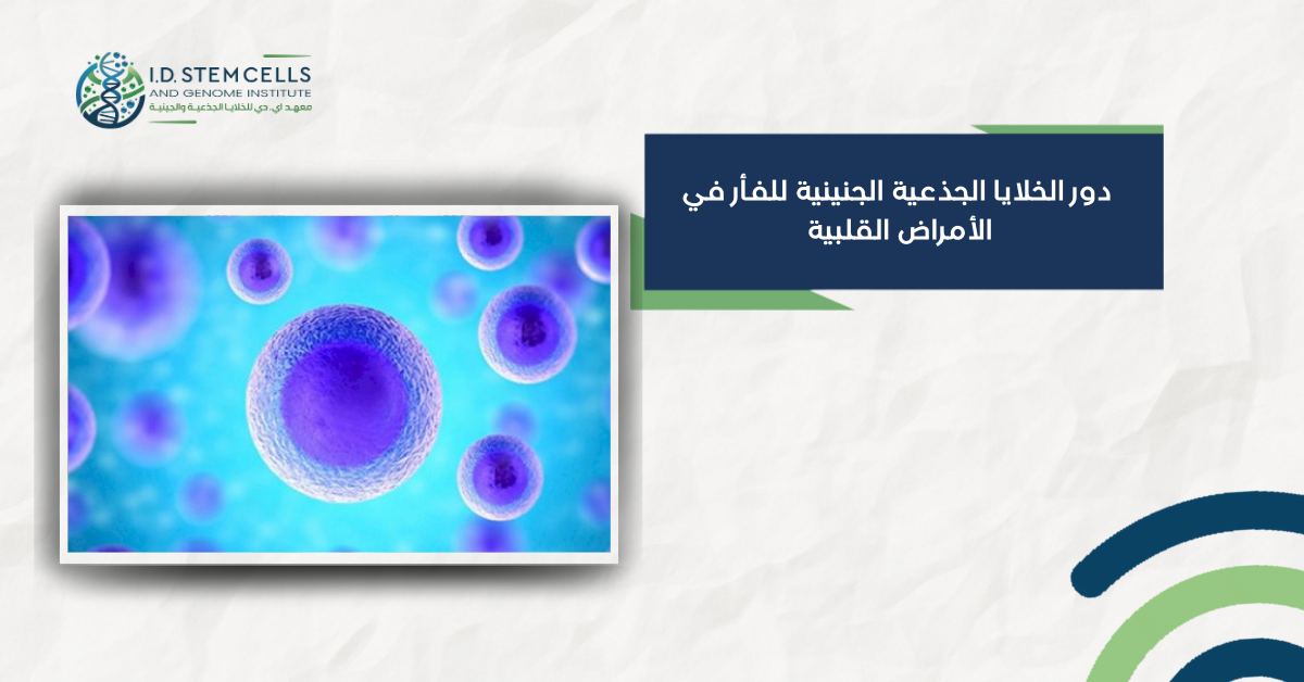 دور الخلايا الجذعية الجنينية للفأر في الأمراض القلبية