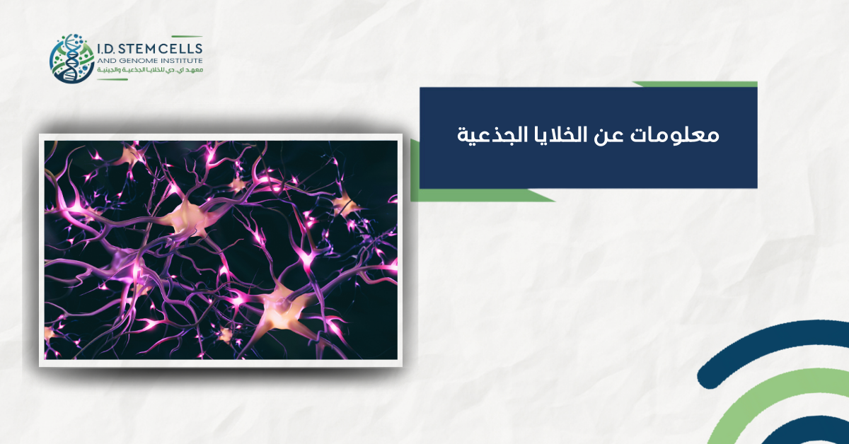  معلومات  مهمة عن الخلايا الجذعية نظرة عامة