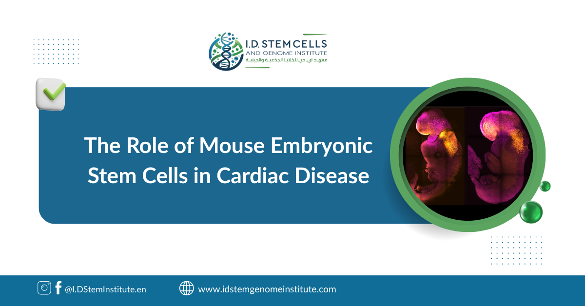 The Role of Mouse Embryonic Stem Cells in Cardiac Disease