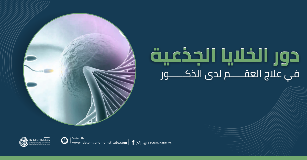 دور الخلايا الجذعية في علاج العقم لدى الذكور
