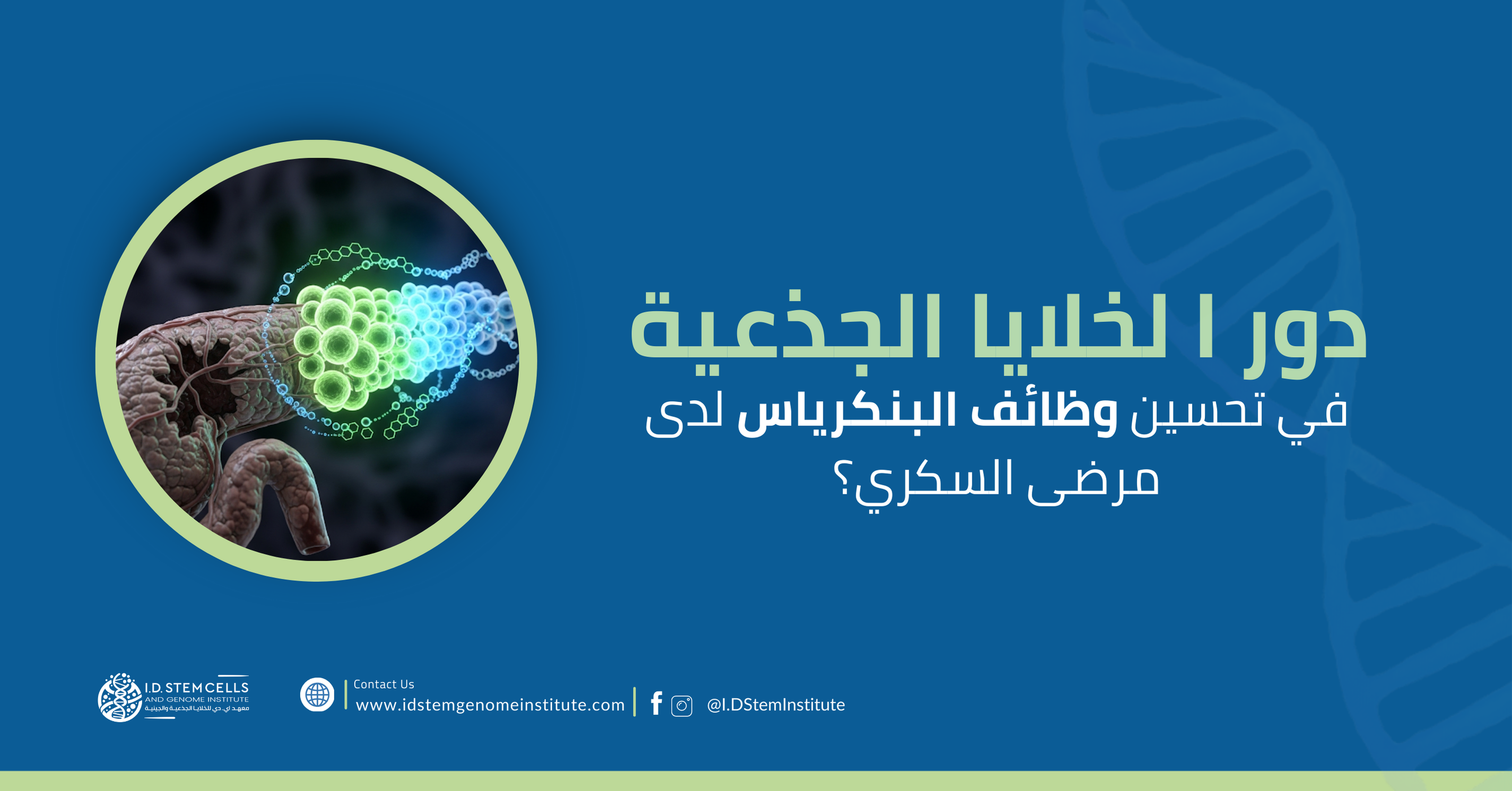 دور ا لخلايا الجذعية في تحسين وظائف البنكرياس لدى مرضى السكري
