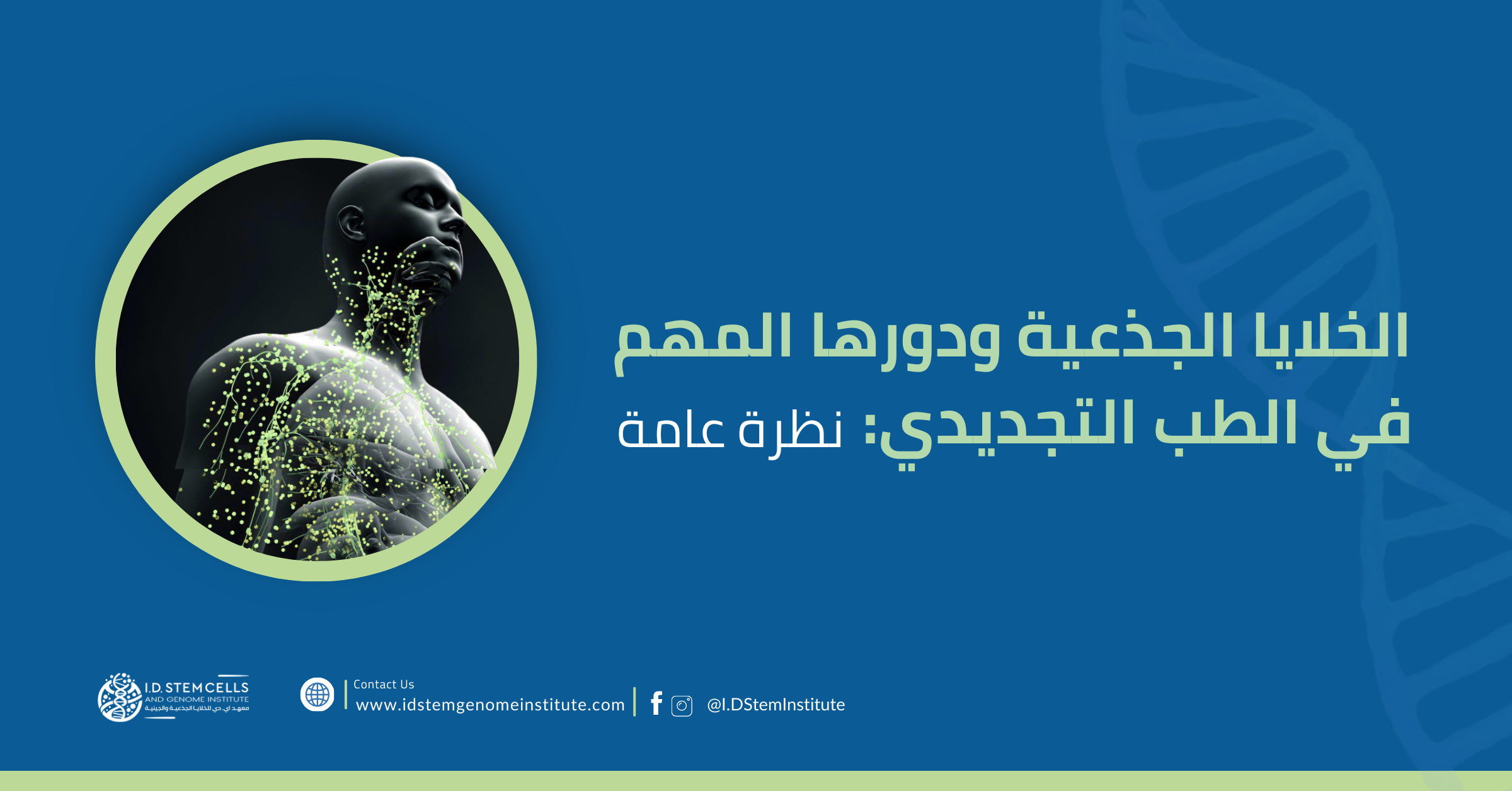 الخلايا الجذعية ودورها المهم في الطب التجديدي:نظرة عامة