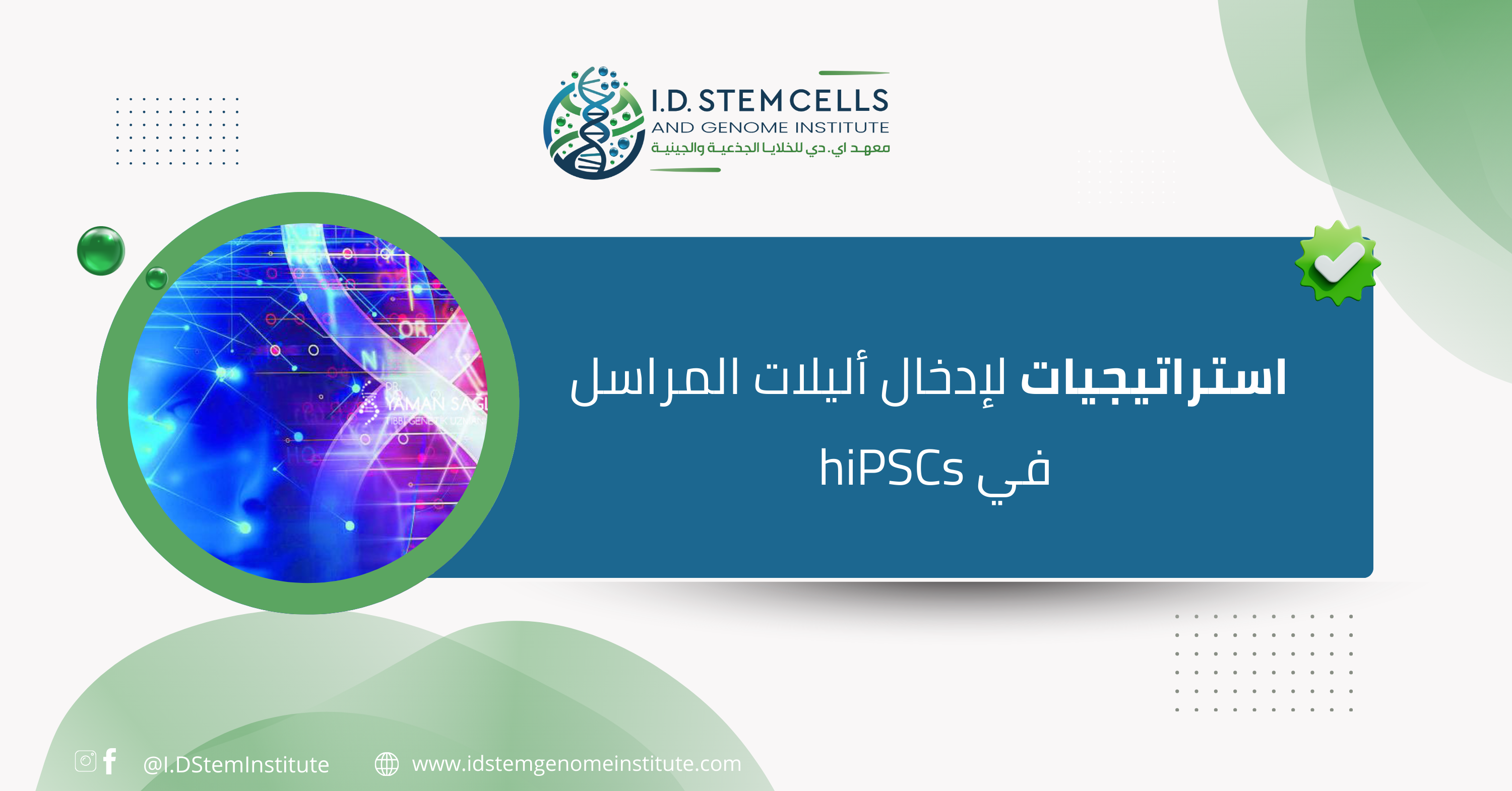 استراتيجيات لإدخال أليلات المراسل في hiPSCs
