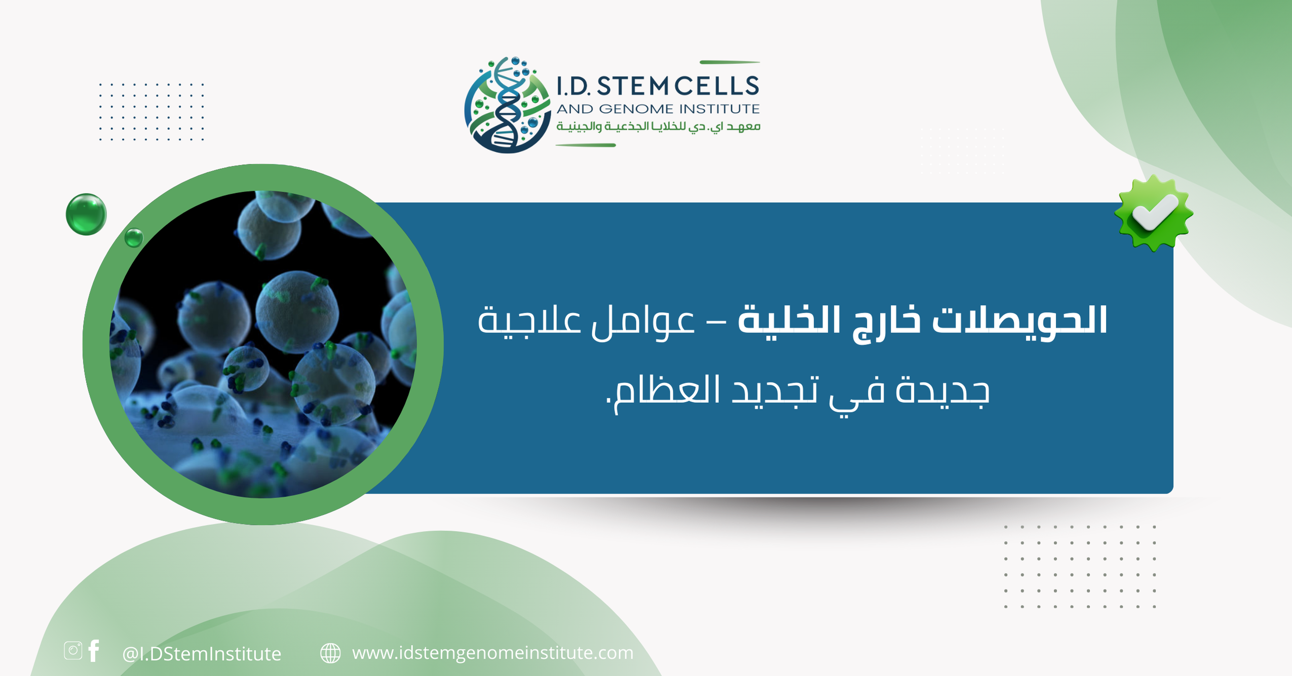 الحويصلات خارج الخلية – عوامل علاجية جديدة في تجديد العظام