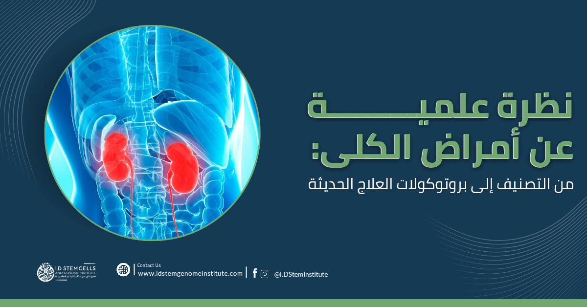 نظرة علمية عن أمراض الكلى من التصنيف إلى بروتوكولات العلاج الحديثة