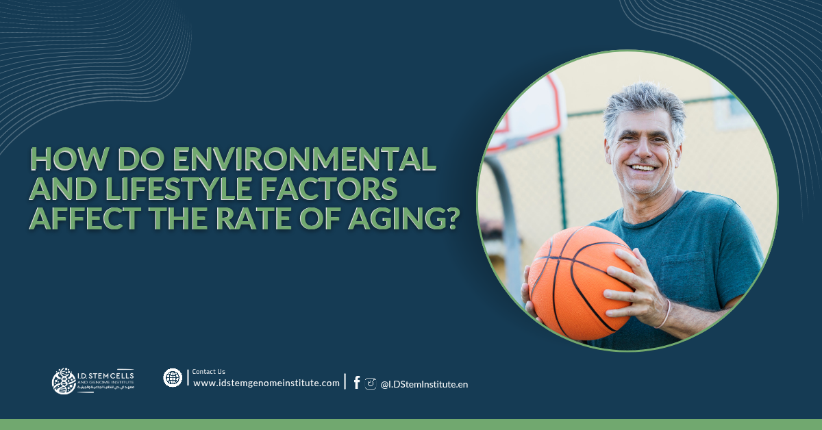 How do environmental and lifestyle factors affect the rate of aging