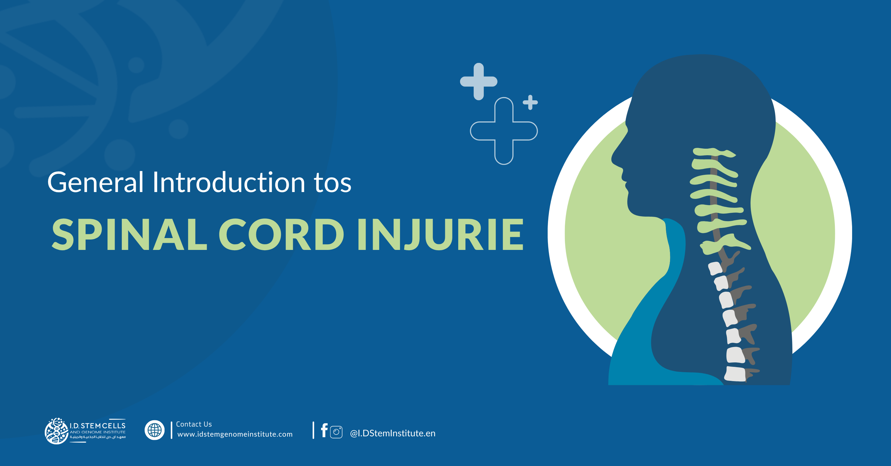 General Introduction to Spinal Cord Injuries