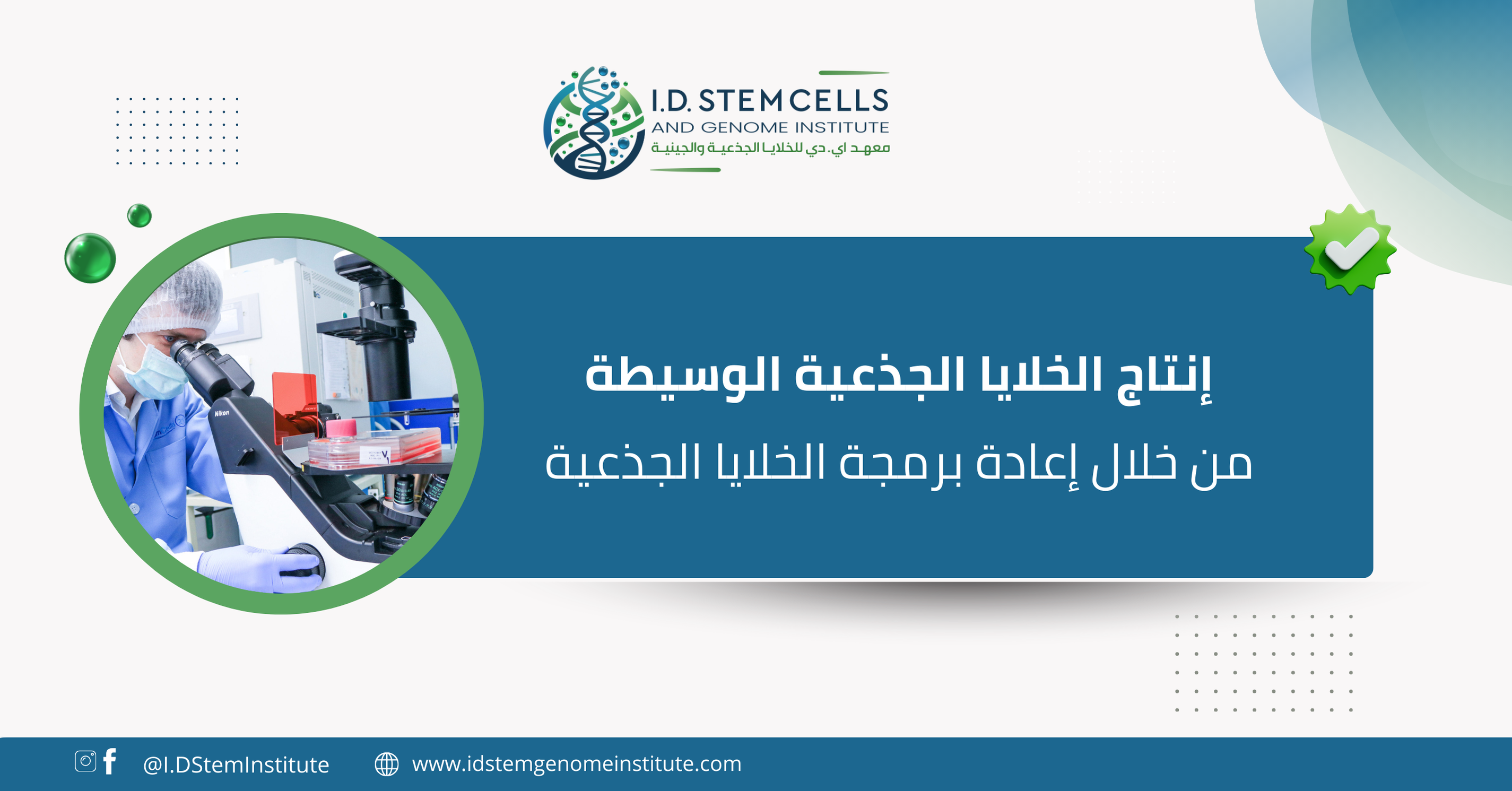 إنتاج الخلايا الجذعية الوسيطة من خلال إعادة برمجة الخلايا الجذعية