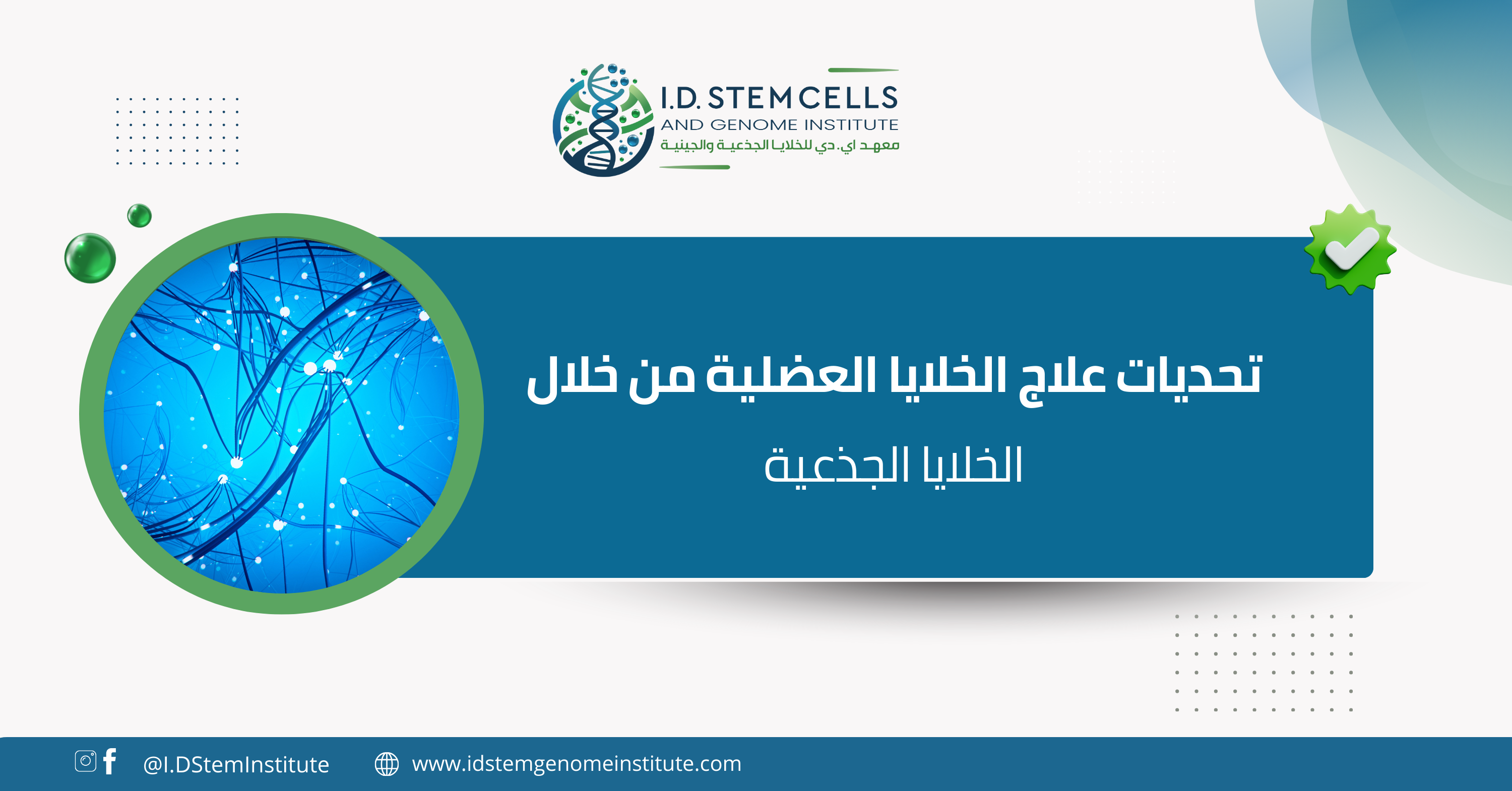  تحديات علاج الخلايا العضلية من خلال الخلايا الجذعية