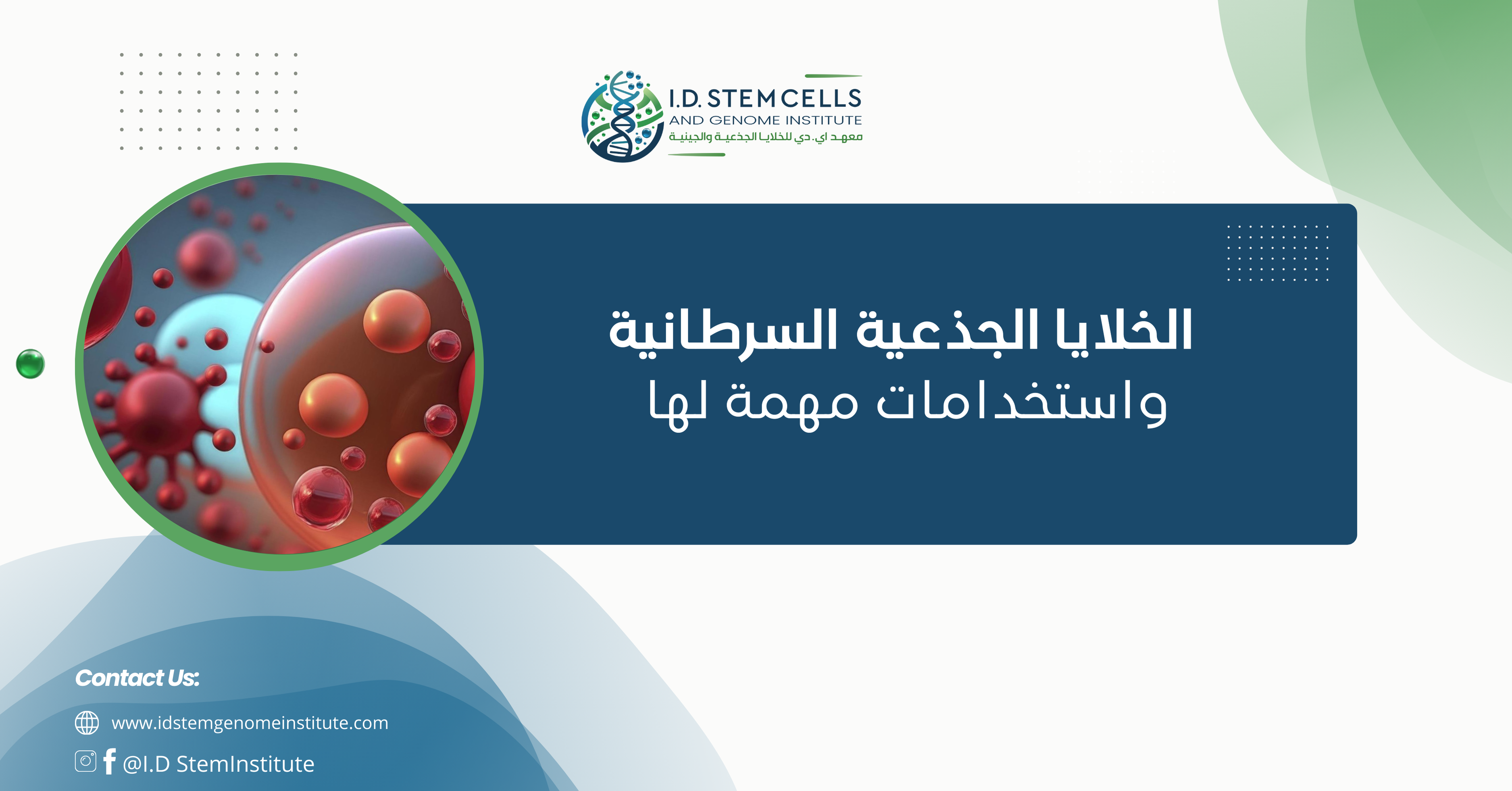 الخلايا الجذعية السرطانية واستخدامات مهمة لها