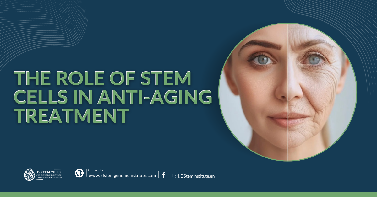 The Role of Stem Cells in Anti-Aging Treatment