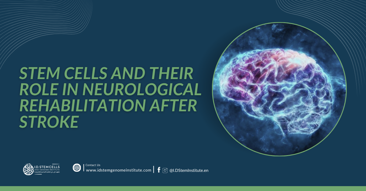Stem Cells and Their Role in Neurological Rehabilitation After Stroke