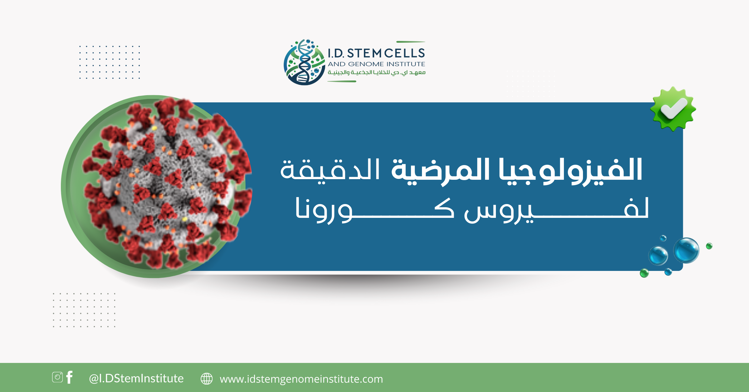 الفيزولوجيا المرضية الدقيقة لفيروس كورونا