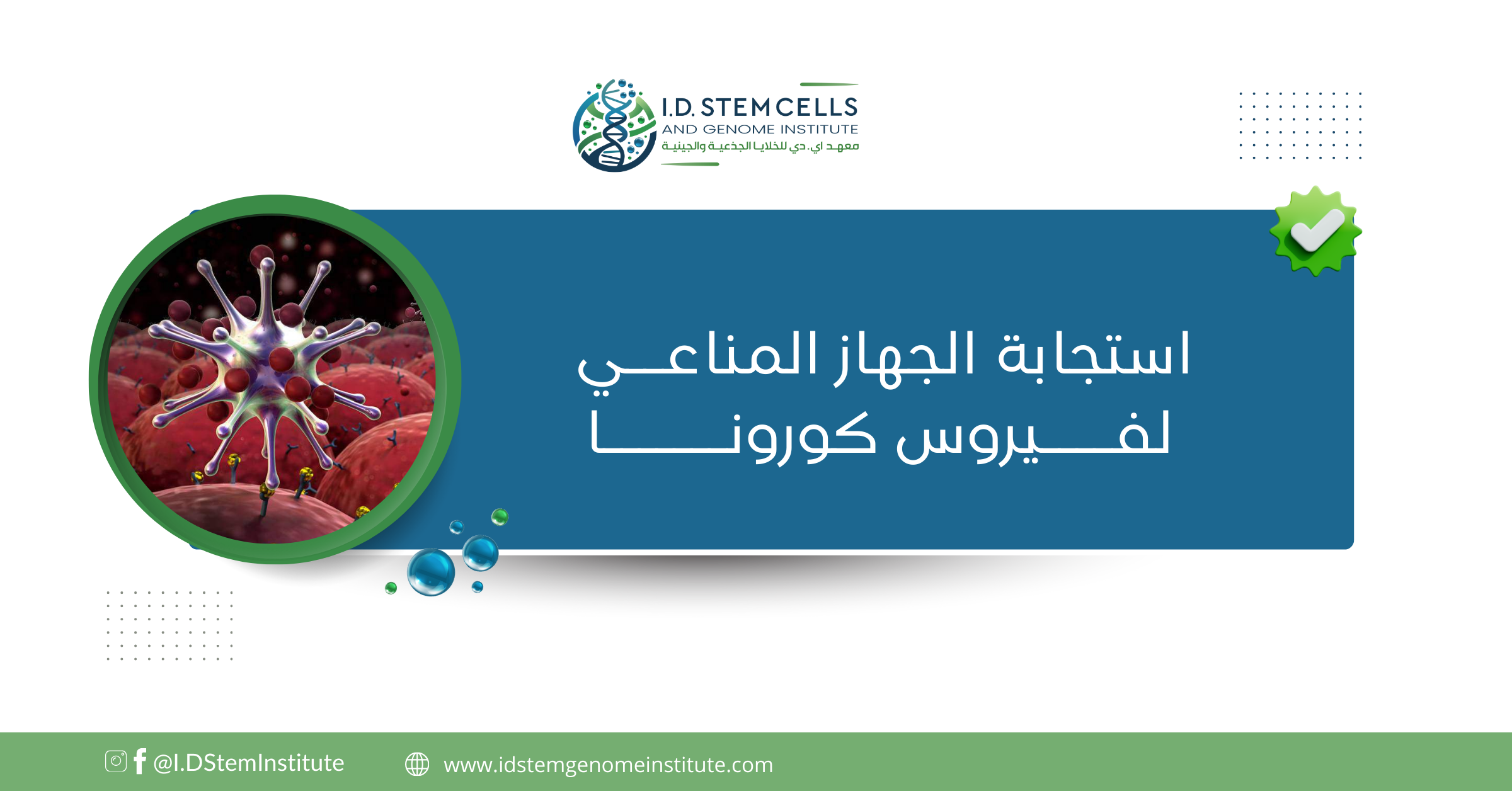 استجابة الجهاز المناعي لفيروس كورونا