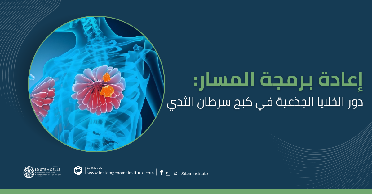 إعادة برمجة المسار: دور الخلايا الجذعية في كبح سرطان الثدي