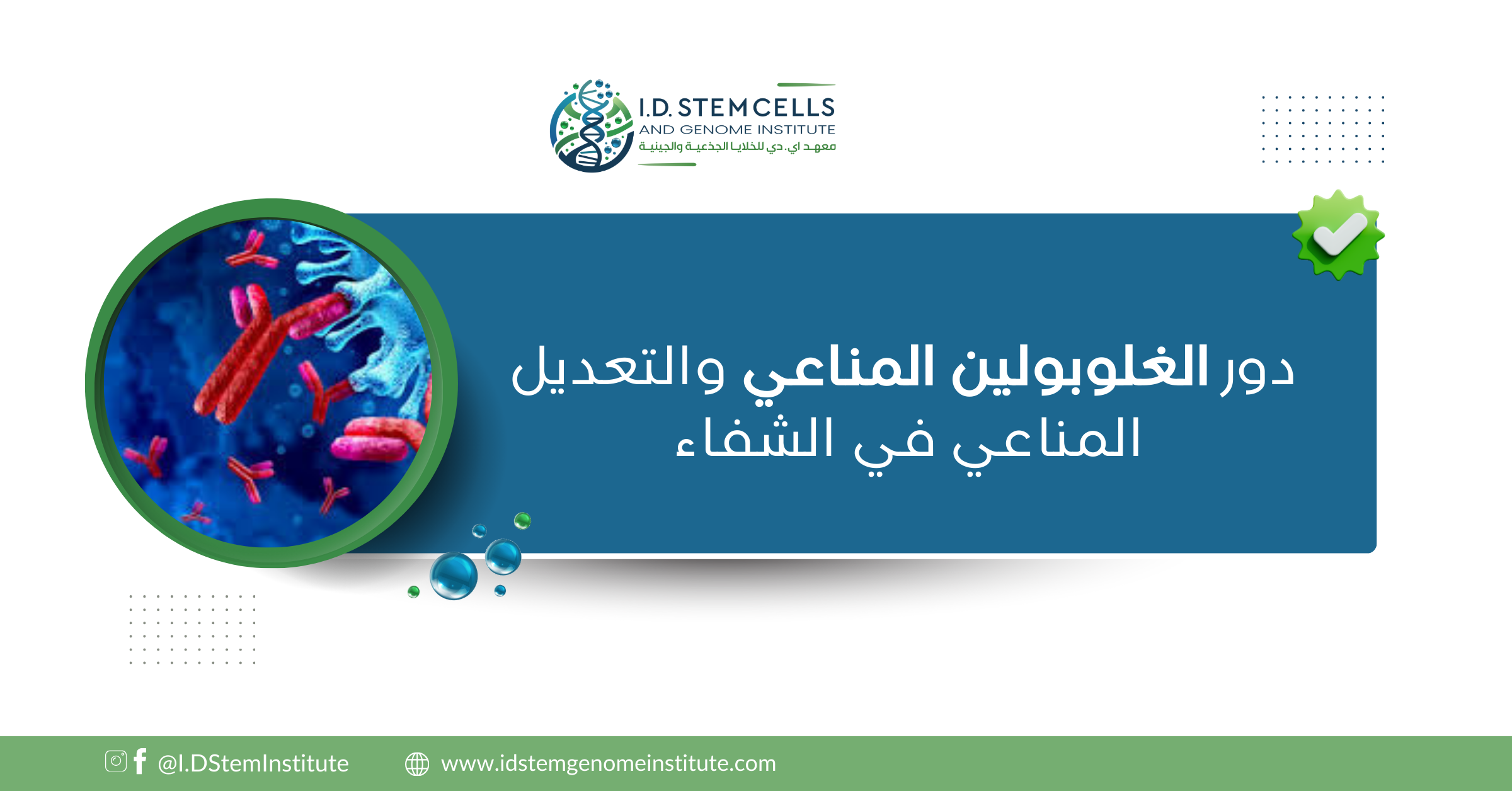دور الغلوبولين المناعي والتعديل المناعي في الشفاء